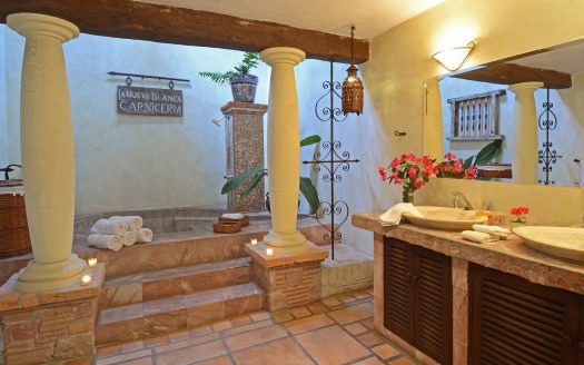CASA ILEANA